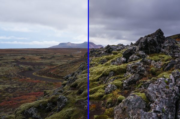 FutureEd - Image 3