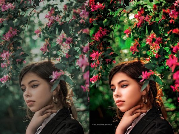 FocusCraftX Pro - Image 2